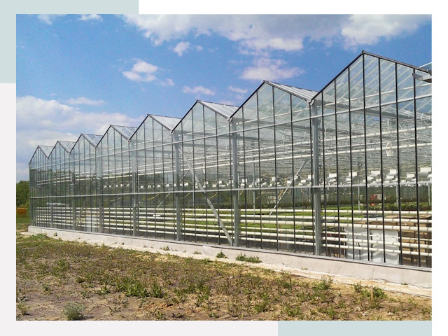 Строительство теплиц в Кызыл от 622 руб. за м²